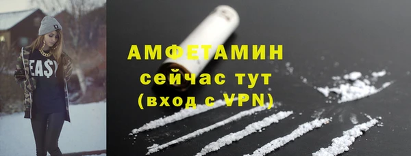 экстази Ельня