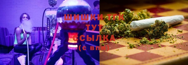 экстази Ельня