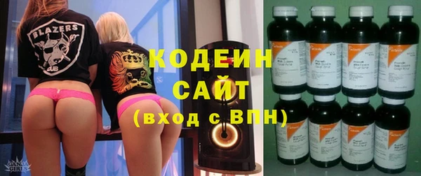 шишки Калининец
