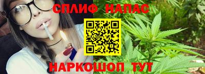 МДПВ Краснознаменск