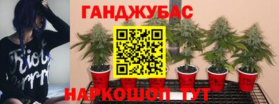 крисы Краснодар