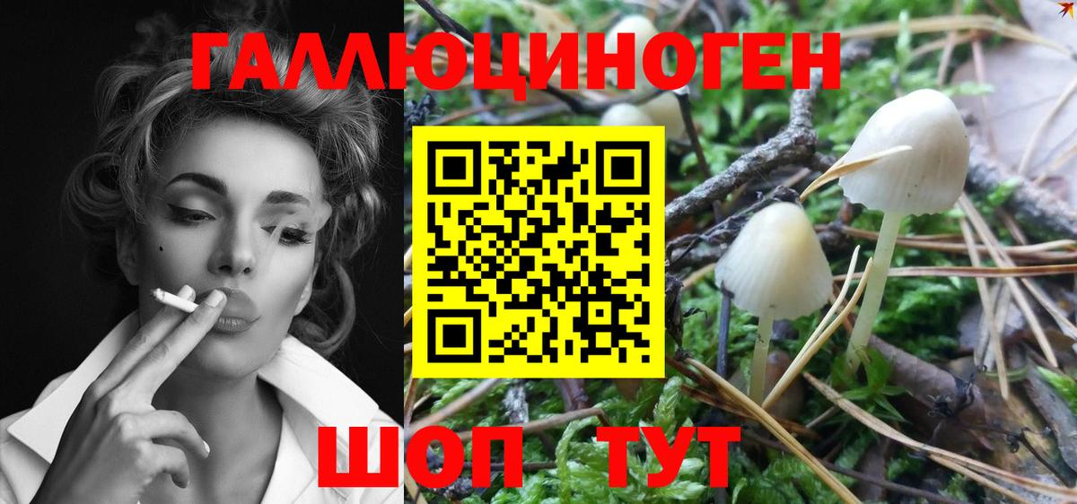 как найти закладки  Вход с VPN  Сегежа  Галлюциногенные грибы Magic Shrooms 