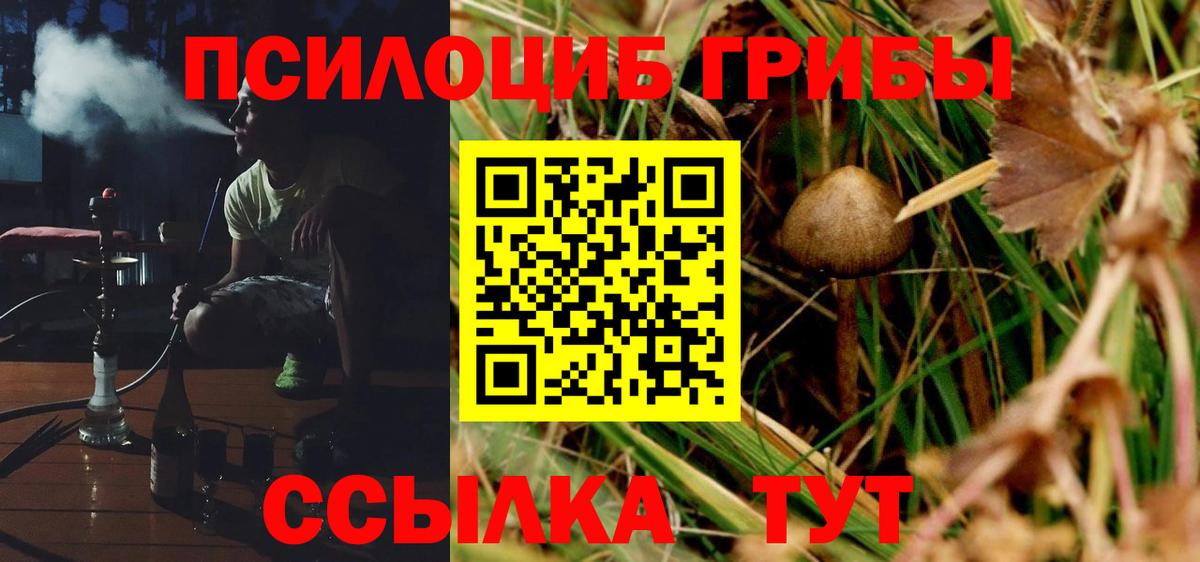 Галлюциногенные грибы Psilocybe Сегежа